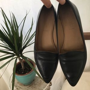 Everlane Modern Point